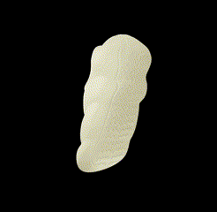 Vídeo-sem-título-‐-Feito-com-o-Clipchamp-3.gif 3D file 3D printed shoe_HULL・3D print design to download