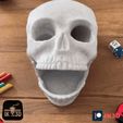 ezgif.com-resize-25.gif STL file MULTIPURPOSE SKULL - NO SUPPORTS・3D printable model to download