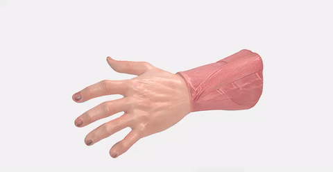 3D file GMA Human Hand Stl Glb for 3D Printer ・3D printer model to ...