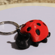 VIDEO-COCCINNELLE.gif COCCINELLE