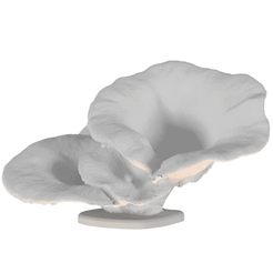 Mushrooms-GIF.gif STL file Mushrooms - two types・3D printable model to download