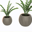 patron-circular_.gif Pot for plants, small and large circle pattern - Pot for plants, small and large circle pattern