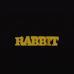 Rabbit-ezgif.com-video-to-gif-converter.gif Rabbit - TextFlip