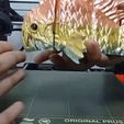 ezgif.com-gif-maker-2.gif STL file Articulated Print-In-Place Monster Piranha・3D printer design to download