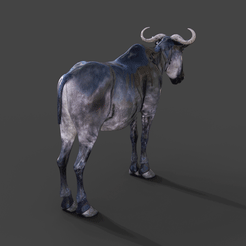 01.gif Archivo OBJ gratis Animal Gnu・Objeto de impresión 3D para descargar, Mister_lo0l_