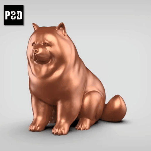 Chow Chow V2 3D model