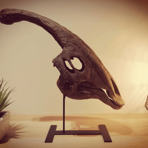 Webp.net-gifmaker.gif STL file Dinosaur skull - Parasaurolophus・3D print design to download, Think3dprint