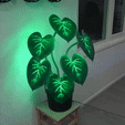 Interactive-plant.gif Interactive Plant
