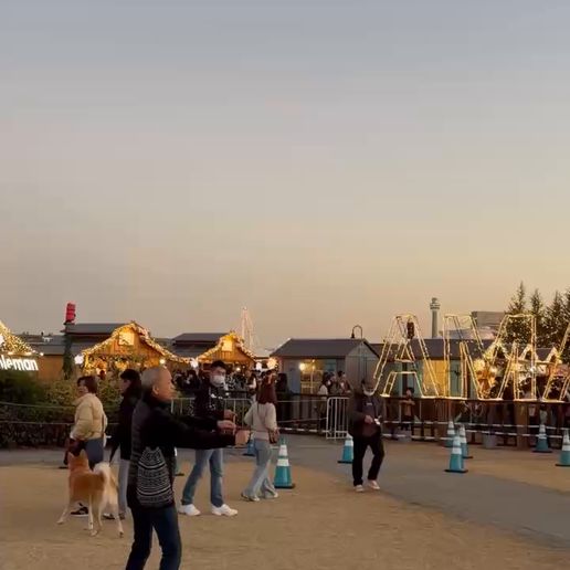 launch-2.mp4 Pocket Copter