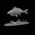 carp-high-quality-klacky-1-4.gif big carp 2.0 underwater statue detailed texture for 3d printing