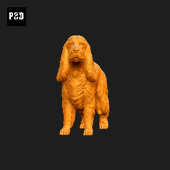 494-Cocker_Spaniel_English_Pose_02.gif Archivo STL Cocker Spaniel Perro Inglés Impresión 3D Modelo Pose 02・Idea de impresión 3D para descargar