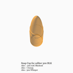 300-BLK-3.gif STL file Snap Cap 300 Blackout dummy cartridge・3D printer model to download