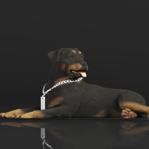 🏢 Conversation Concepts Rottweiler Figurine MyDog・ STL File for 3D ...