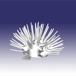 3q7rtb.gif Файл OBJ Sea Urchin・3D-печатная модель для загрузки