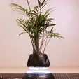 vase_levitation.gif Magnetic levitation vase - The easy way!