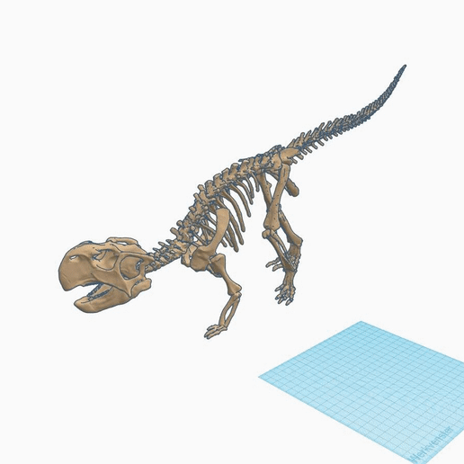psit 1 .gif Download STL file Dinosaur skeleton - Psittacosaurus V3 • 3D print template, Think3dprint