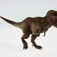 Tvideo.gif Tyrannosaurus rex