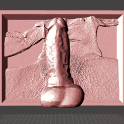 ezgif.com-resize-2.gif Archivo OBJ gratis Mi verdadera polla 3d Litho 🍆・Diseño imprimible en 3D para descargar