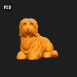 527-Coton_De_Tulear_Pose_08.gif Coton De Tulear Dog 3D Print Model Pose 08