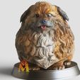 Chubby-Fat-Puppy.gif Fichier STL Chiot gras et potelé- chien assis-FANART FIGURINE・Modèle à télécharger et à imprimer en 3D