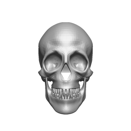 SKULL 3D model