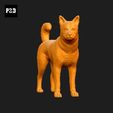 396-Canaan_Dog_Pose_03.gif Canaan Dog 3D Print Model Pose 03
