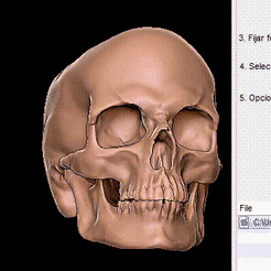 gify.gif STL file Skull Container・Template to download and 3D print, chazz1981