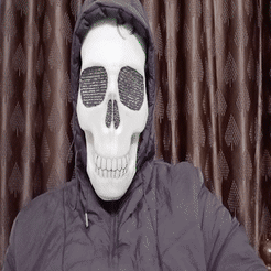VID20231105212927_1.gif Skull mask