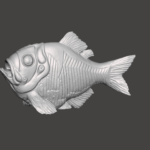 fish 3D model