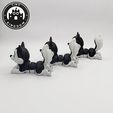 Flexi-Tiny-Husky,-G3.mp4 Flexi Tiny Husky