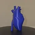 heartpretzelprints.gif Human Heart Anatomy Statue Home Decor Art By Pretzel Prints