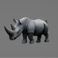Rhinoceros.gif Rhinoceros