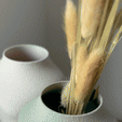 462108327_900726574721256_461844168932345757_n.gif Scrunched vase