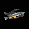 pike-high-quality-1-3.gif big old pike underwater statue on the wall detailed texture for 3d printing