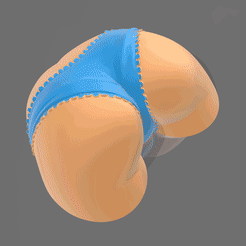 01.gif Fichier STL Une culotte sur l'eau・Design pour imprimante 3D à télécharger
