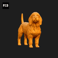 111-Basset_Fauve_de_Bretagne_Pose_03.gif Basset Fauve de Bretagne Dog 3D Print Model Pose 03