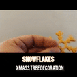 InShot_20231203_155630101.gif Snowflakes Xmass Tree Decoration