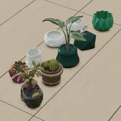ezgif-5-77b4e85df1.gif Pack of 9 - Aesthetic and modern pot and Planters