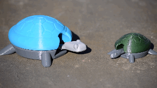 Bobble_gif.gif Bobblehead Turtle