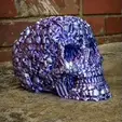 triCatSkull.gif 2 Designs, Catacombs Skull package, by Pretzel Prints