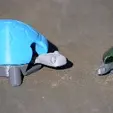 Bobble_gif.gif Free STL file Bobblehead Turtle・3D print design to download