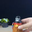 0930773D-B5FE-4D55-8D0F-A8D39DC430BB.gif Gnome pirate