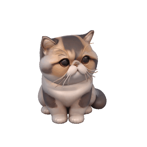 Cute Exotic Shorthair cat 3D model