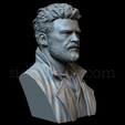 KarlUrban.gif 3D file Karl Urban as Billy Butcher・3D printer model to download