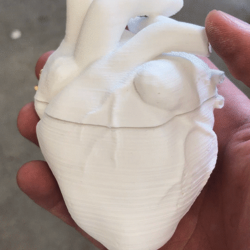 IMG_0696.gif Free STL file Heart Shaped Box・3D printing design to download, Dano