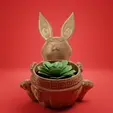 Chinese-New-Year-Bunny-gif.gif CHINESE NEW YEAR-Rabbit PLANT POT-PRINT IN PLACE- NO SUPPORTS