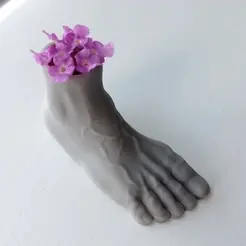 animation-Anatomy-Foot-pen-holder-Pie-v03-Moad-STL.gif Foot Vase Vase - Foot Penholder - Pies Pies Macetero - Anatomical Sculpture