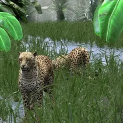 tinywow_VIDEO-Cheetah_31507676.gif DOWNLOAD Cheetah 3d model - animated for blender-fbx-unity-maya-unreal-c4d-3ds max - 3D printing Cheetah - LEOPARD - RAPTOR - PREDATOR - CAT - FELINE