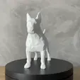 20240425170450.gif Bull Terrier Low Poly