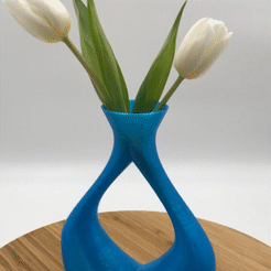 CJAH7604.gif Free STL file Special Vase・3D print design to download, 3diyn